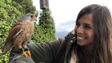 Imagen de ¡Qué animal! (T4) - 14