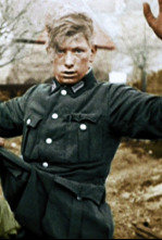 Imagen de La II Guerra Mundial...: Un giro radical - 4