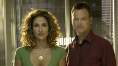 C.S.I. NY (T3): Ep.2 No es lo que parece