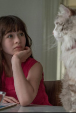 Imagen de Siete vidas: Este gato es un peligro - 4