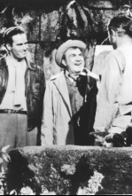 Imagen de El secreto de los Incas - 4