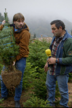 Imagen de El Foraster (T3): Espinelves - 4