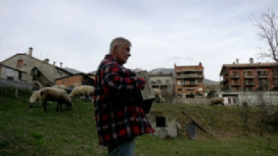 Imagen de Pastors i ramats: un...: Un pastor mai no es retira: Montserrat Farrés, V. Pons, A. Layunta i J. Domènech - 5