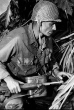 Imagen de Invasión en Birmania - 4