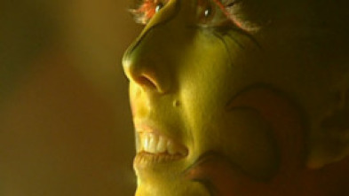 Imagen de Probando a Mozart - 3