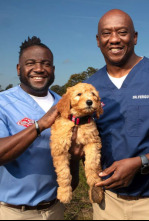 Critter fixers:...: Veterinario por un día