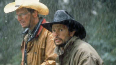 Cowboys de ciudad