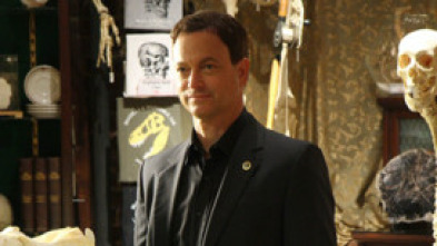 Imagen de C.S.I. NY (T4): Ep.20 Taxi - 5