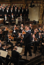 Imagen de Beethoven, Sinfonía nº 1 en Do mayor Op. 21 - 4