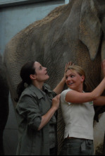Doctora en el Zoo (T5)