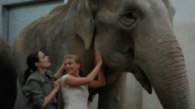 Doctora en el Zoo (T7)
