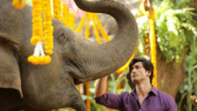 Imagen de Junglee: Alma salvaje - 5