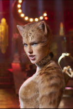 Imagen de Cats - 6