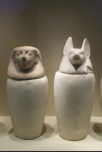 Misterios en el museo: El perro de Hollywood y más