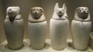 Misterios en el museo: Foo Fighters y más