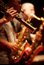 Imagen de Certamen provincial de bandes - 4