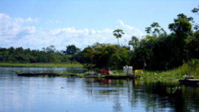 Imagen de Els rius i la vida: Mississippi - 5