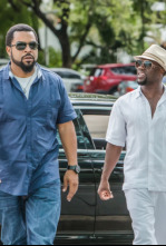 Infiltrados en Miami
