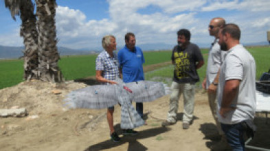 Imagen de Volando voy: El Delta del Ebro - 6