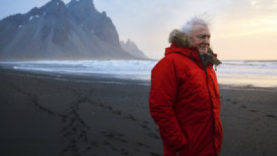 Imagen de Un planeta perfecto: Oceans - 5