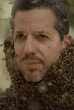 David Blaine: Retos...: Sudáfrica