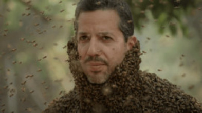 David Blaine: Retos...: Brasil