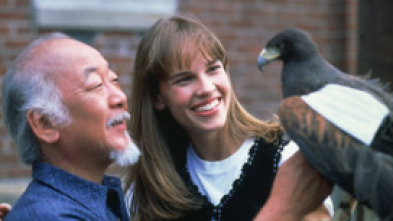 Imagen de El nuevo Karate Kid - 11