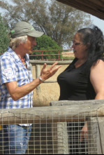 Imagen de Volando voy: Doñana - 5