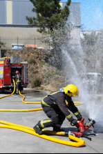 Alarma 080
