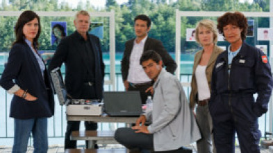 Unidad de investigación (T6)