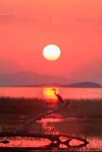 De pesca en el lago Kariba, Zimbabwe
