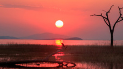 De pesca en el lago Kariba, Zimbabwe