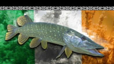 Wild Pike Ireland 1