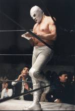 Imagen de Santo, la leyenda del enmascarado de Plata - 4