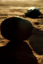 Nuestro planeta (One...: Supervivencia