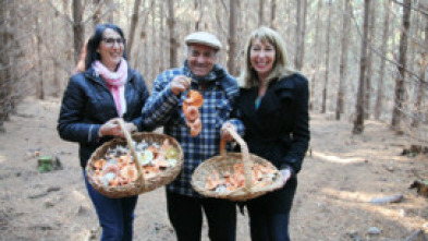 Expedición culinaria. Alimentos de la tierra (T1)
