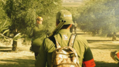Guerra galana en Huétor Tájar