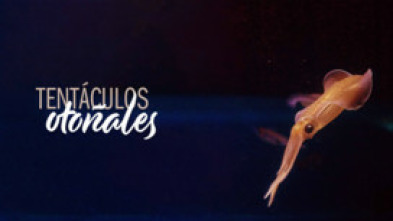 Imagen de Tentáculos otoñales - 5