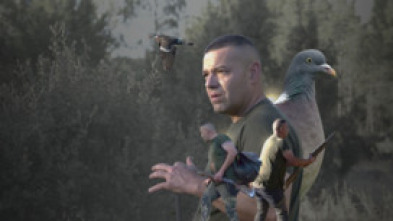 Palomas en Cuenca