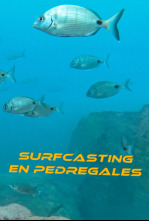 Imagen de Surfcasting en pedregales - 4