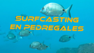 Imagen de Surfcasting en pedregales - 5