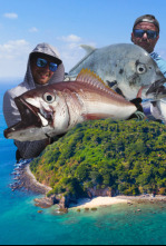 Islas de coral