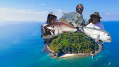 Islas de coral