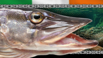 Wild Pike Ireland - capítulo final