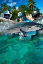 El secreto de las Seychelles