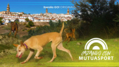 Conejos a diente. federación extremeña de caza mutuasport 3