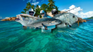 El secreto de las Seychelles