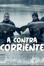A contracorriente