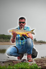 Aletas en la orilla