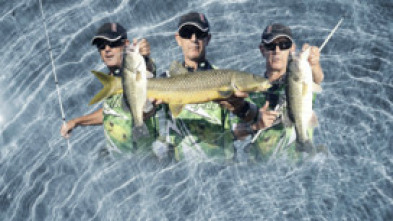 Pescando con calzadores